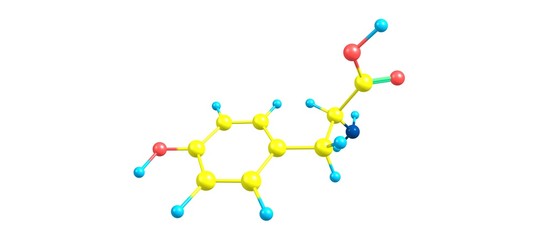 Poster - Tyrosine molecular structure isolated on white