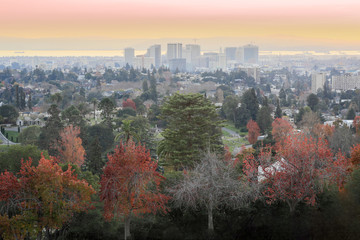 Canvas Print - Sunset views of Oakland Downtown and San Francisco Bay from a hilltop in Mountain View Cemetery. Oakland, Alameda County, California, USA.