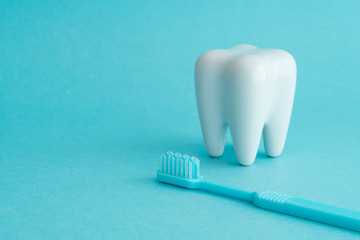 White healthy tooth model and blue dental toothbrush on blue background with copy space. Dental care and healthcare concept.