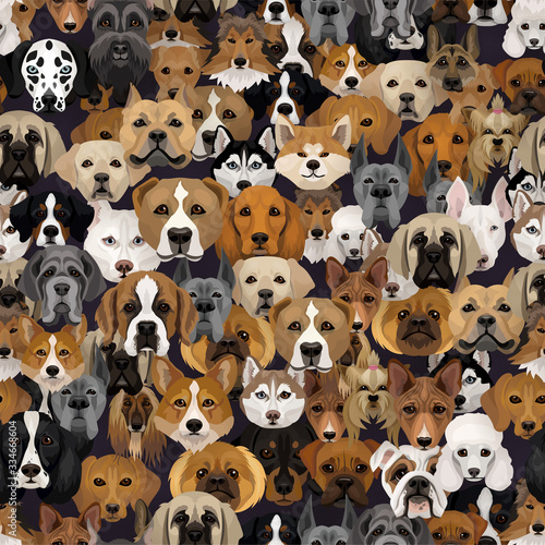 Fototapeta na drzwi i meble Wektor psy różnych ras wzór lub papier pakowy tło pies z husky, dalmatyńczyk, buldog, sznurek, spaniel i inne rasy