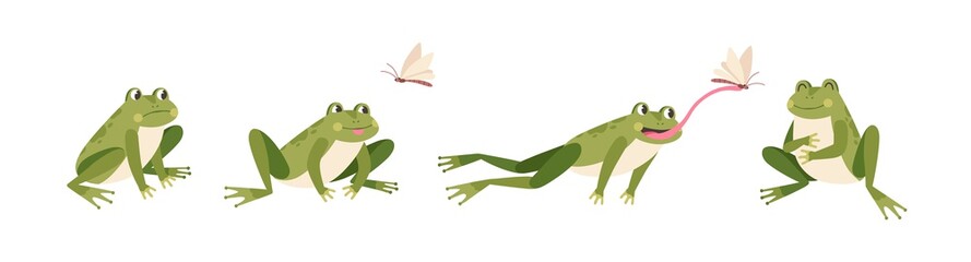 set of cartoon hungry frog sad, smile, resting and hunting isolated on white background. funny toad 