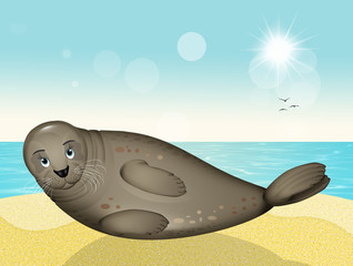 Wall Mural - seal lying on the beach