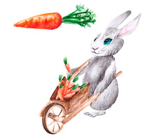 Watercolor Drawing Of A Gray Rabbit With A Cart Full Of Carrots, Isolated On A White Background. Drawing Of A Funny Eared Character And Fresh Carrots For Books, Stories, Postcards And Illustrations.