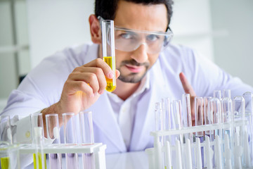 Wall Mural - attractive happiness scientist man lab technician assistant analyzing sample in test tube at laborat