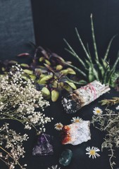 Citrine, amethyst and moss agate crystals on a black table among forest greenery, dried flowers, herbs, basil plant, burnt sage smudge stick in the background. Vertical witchy photo with nature plants