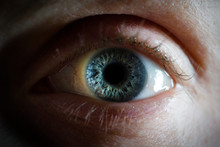 Blue Woman Eye Close Up - Macro Detail