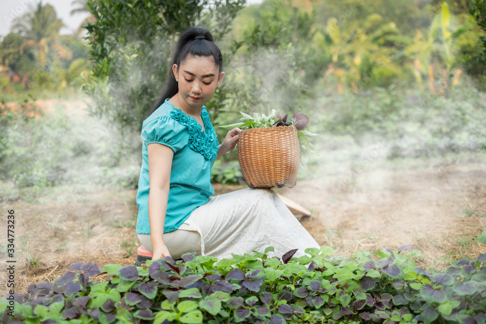 Women in her vegetable garden, Beautiful young gardener Asia woman with ...