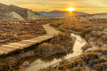 A Wooden Low Level Elevated Walking Path With Planks Winding Through A Wetland Area With Shrubs And A Creek Flowing In The Center. The Rising Sun Is Shining Over Distance Mountains