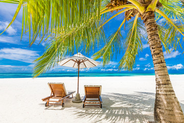 Tropical beach nature as summer landscape with lounge chairs and palm trees and calm sea for beach banner. Luxurious travel landscape, beautiful destination for vacation or holiday. Beach scene