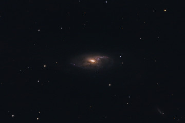 Wall Mural - The intermediate spiral galaxy Messier 106 in the constellation Canes Venatici photographed with a Maksutov telescope from Mannheim in Germany.