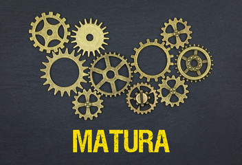 Poster - Matura