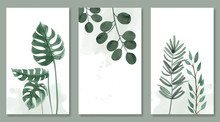 Set Of Botanic And Wild Leaves In Watercolor Painting. Design For Frame Hanging, Poster, And Card.