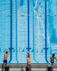 Wall Mural - Three Swimmers Diving