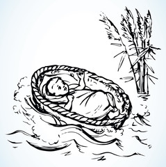 Wall Mural - Little Moses in a basket. Vector drawing