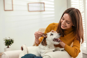 Poster - Young woman with her cute Jack Russell Terrier in armchair at home. Lovely pet