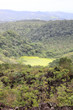 Hiking trail in tropical nature, Hiking in Area of La fortuna, Arenal volcano, Central America, Costa Rica