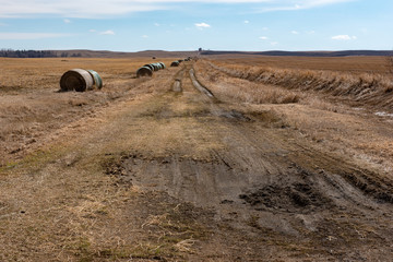 road in the field