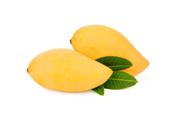 Wall Mural - Mango fruit with leaves isolated on white background.