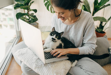 Casual Girl Working On Laptop With Her Cat, Sitting Together In Modern Room With Pillows And Plants. Home Office. Young Woman Using Laptop And Cute Cat Sitting On Keyboard. Faithful Friend