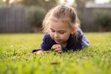 Toddler enjoying laying down on brand new sod, green grass in the backyard in the south 