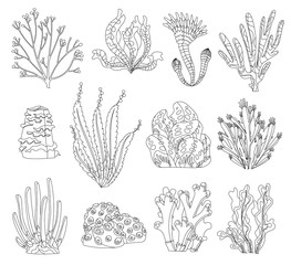 Wall Mural - Marine algae, ocean seaweed and corals silhouettes. Underwater algae. Aquarium plants collection. Vector marine life. Isolated corals and algae. Underwater flora