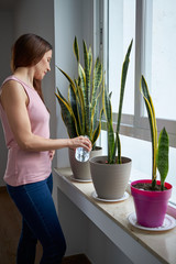 Woman watering plants at home