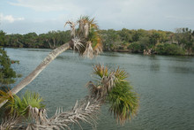 Merritt Island National Wildlife Refuge, Florida