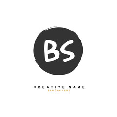 B S BS Initial logo template vector. Letter logo concept