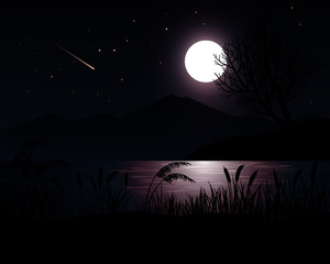 Wall Mural - night landscape with moon
