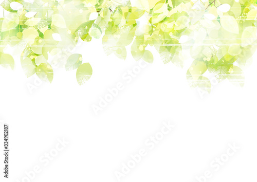 リーフ 葉 葉っぱ 木 樹 新緑 樹木 光 植物 爽やか 背景 風景 Eco エコロジー 環境 初夏 夏 イラスト 素材 木漏れ日 グリーン 枝 木陰 空 若葉 エコロジーイメージ 青葉 文字スペース バックグラウンド 緑 季節 四季 木の葉 キラキラ リーフ 葉 葉っぱ 木 樹 新緑 樹木 光 植物 爽やか 背景 風景 Eco エコロジー 環境 初夏 夏 イラスト 素材 木漏れ日 グリーン 枝 木陰 空 若葉 エコロジーイメージ 青葉 文字スペース バックグラウンド 緑 季節 四季 木の葉 キラキラ
