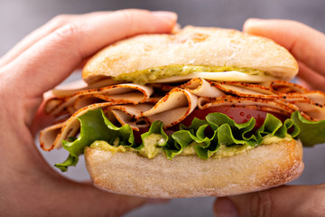 Sticker - Hands holding fresh and healthy pesto turkey sandwich with white cheddar cheese