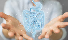 Woman Using Digital X-ray Of Human Intestine Holographic Scan Projection 3D Rendering