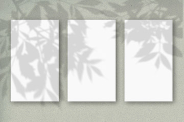 Wall Mural - 3 vertical sheets of white textured paper on a pastel green wall background. Mockup with an overlay of plant shadows. Natural light casts shadows from the tree's foliage