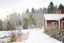 Red Cottage In Sweden In Winter Snowfall