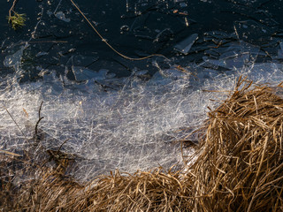 abstract background with dry grass, thin ice and water textures