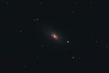 Wall Mural - The Sunflower Galaxy Messier 63 in the constellation Canes Venatici photographed with a Maksutov telescope from Mannheim in Germany.