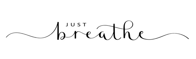 Wall Mural - JUST BREATHE vector brush calligraphy banner with swashes