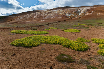 Beautiful colourful Icelandic landscape lava fields mountain geysers zigzag road and moss-covered stones Namafjall, Iceland.