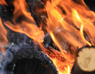 Sticker - burning firewood for barbecue and barbecue