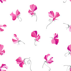 Sweet pea flowers. Seamless vector pattern on white. Floral background.