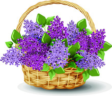 Bouquet Of Wild Flowers In Basket Isolated On White