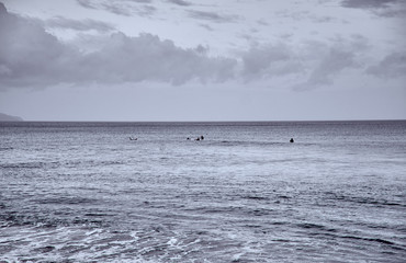 Wall Mural - Seascape. Santa Barbara beach. Sao Miguel Island, Azores.