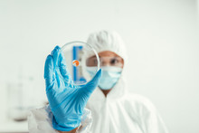 Selective Focus Of Biochemist In Hazmat Suit Holding Petri Dish With Biomaterial