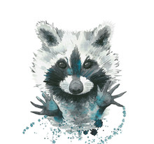 Raccoon. Abstract Animal Portrait. Watercolour Illustration On White Background.