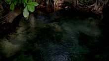 Beautiful Nature The Jungle Turquoise Green River In Mangrove Forest Of Tha Pom Khlong Song Nam In Krabi Province Southern Thailand.