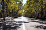 Fototapeta Sawanna - View of one of the main avenues called 