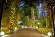 © Andrius - alley decorated with many lights in the park