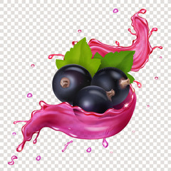 Wall Mural - Black currant juice splash berries vector illustration