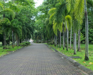 Empty walking paths in the city Park on the weekend. Quarantine mode