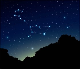 Wall Mural - constellation cetus in deep space